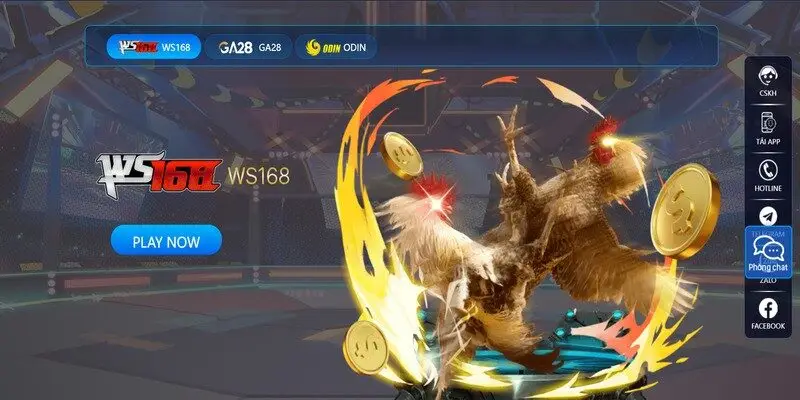 Rủi ro khi cá cược thua là trách nhiệm của người chơi, không phải nhà cái